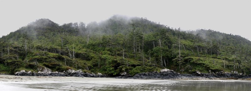 Cox Bay (Shoreline Fringe)