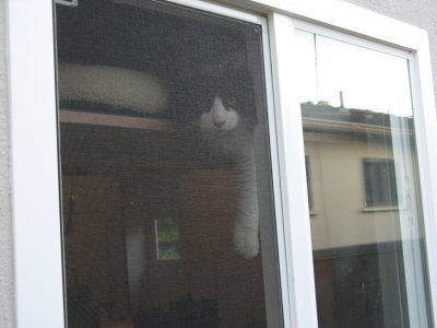 Pete likes the top seat