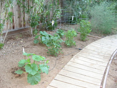 vegetable gardens