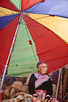 grandma and the umbrella