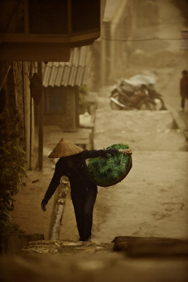 mist in Sapa