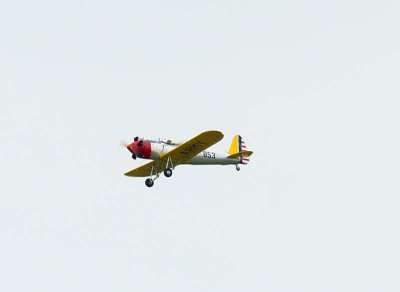 IMG_8515.jpg