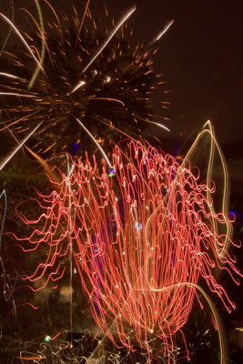 2008 Fireworks - Alexandria's 259th Birthday Celebration, Oronoco Bay Park