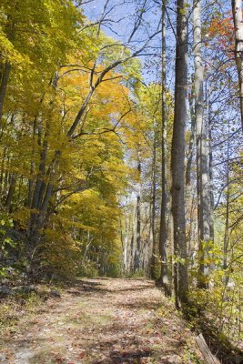 Above Millertown Road, Shenandoah Co., VA
