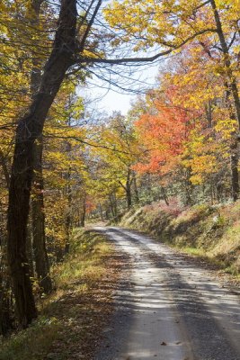 Fall Pathway