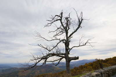 Skyline Drive, VA