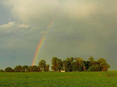 Summer Rainbow