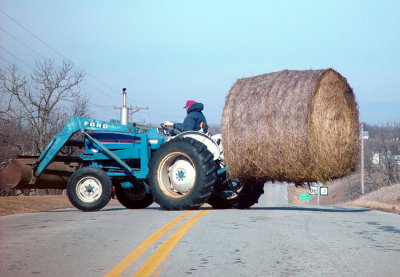 Cattlemen sharing hay with their neighbors.