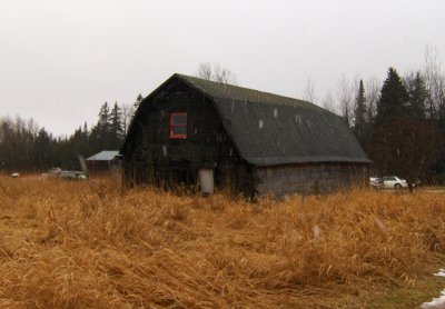 This was the barn on the Robinson farm, out in Engadine. We took this while visiting at Christmas time, 2006.  