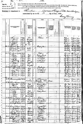Shown above is the 1880 federal census for, the village of, Krakow, Presque Isle County, Michigan. Beginning on line #18, we see, Robert St. Clair, listed with his wife, Genett S., & their children: Adoniram 10yrs, William R. 08yrs, Andrew N. 05 yrs, Austin N. 03 yrs.  