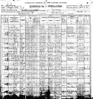 Shown above is the 1900 federal census for, Case Township, Presque Isle County, Michigan. Beginning on line #11, we see, Robert St. Clair & his wife, Jenette.