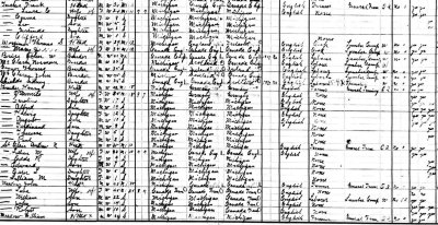 Shown above is a larger section of this census, clearly showing, Andrew N. St. Clair & his wife, Lillian M. [Walker] St. Clair.