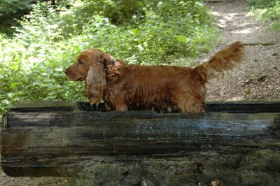 Byron refreshing