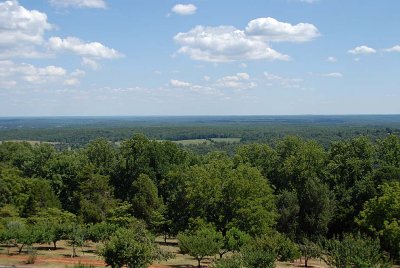 another vew from monticello
