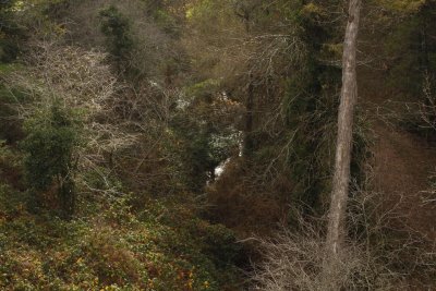 From the Bridge 2