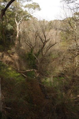 From the Bridge 3