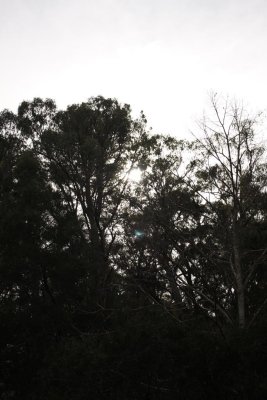 Sun Behind