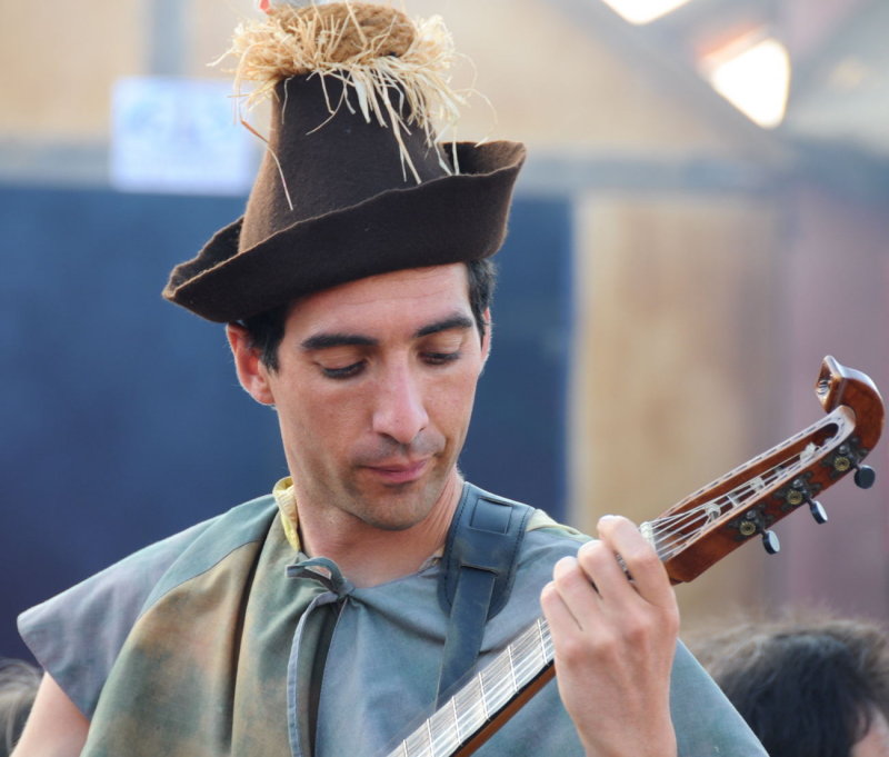 Musician