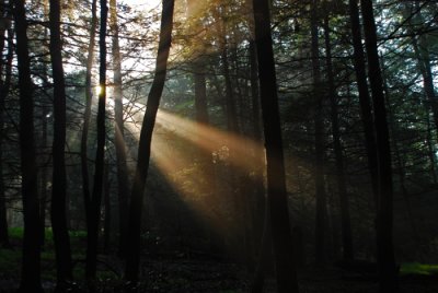 g5/18/883518/3/119280429.Cgqu4bGX.jpg