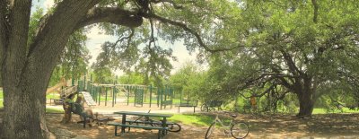 At the Park