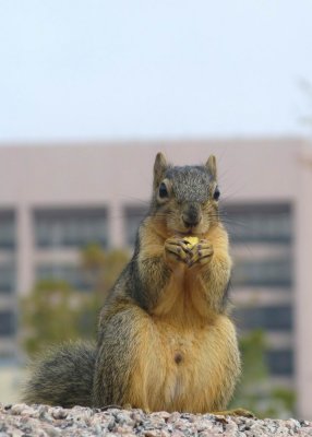 IMG_3839.JPG