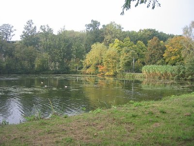061014_075309.jpg