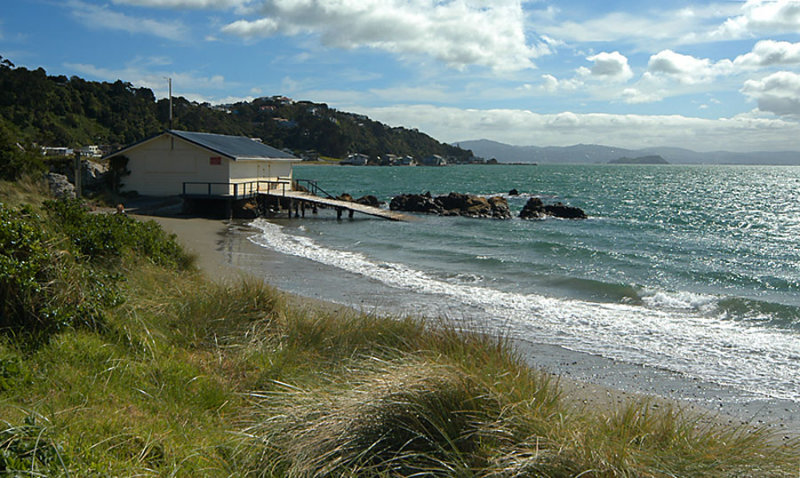 Boatshed at Seatoun