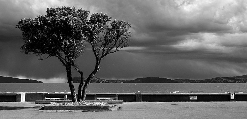 Approaching storm (cropped)