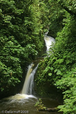 Waterfall in Monteverde Cloud Forest Reserve, Costa Rica