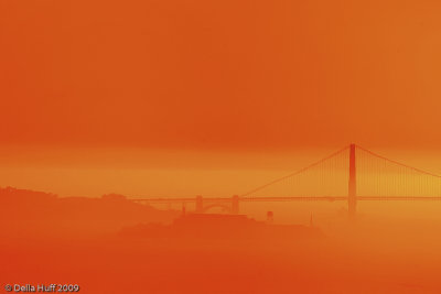 [International] Orange Impression, San Francisco