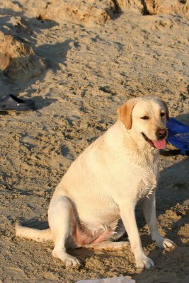 IMG_1377.jpg