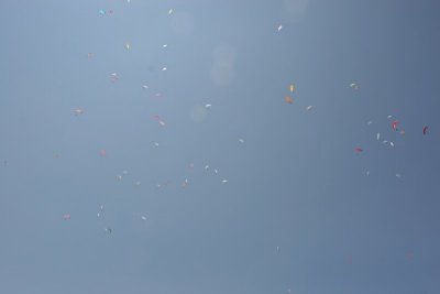 IMG_1488.jpg