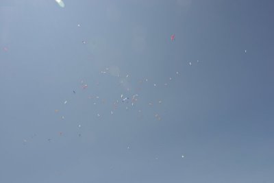 IMG_1495.jpg