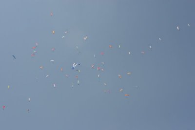 IMG_1496.jpg