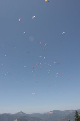 IMG_1608.jpg