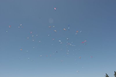 IMG_1609.jpg