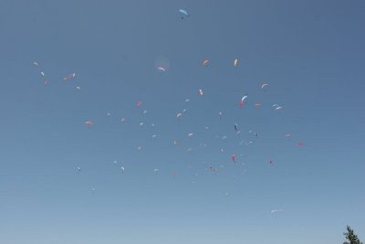 IMG_1613.jpg