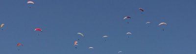 IMG_1642.jpg