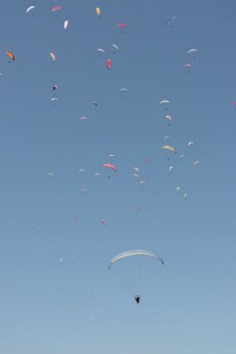 IMG_1650.jpg