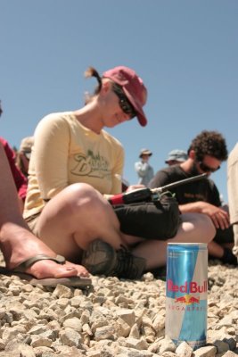 IMG_1330.jpg