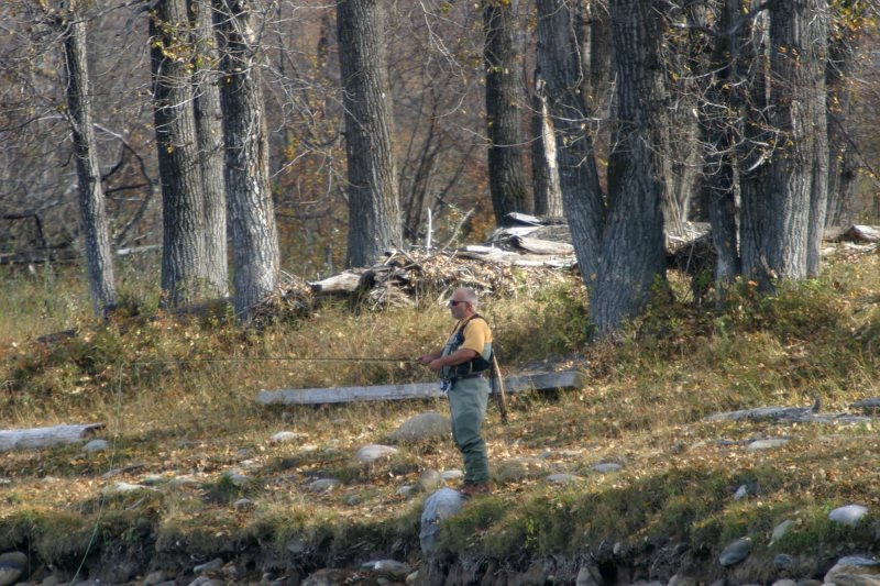 Fellow Fly Fisherman and Cottonwoods