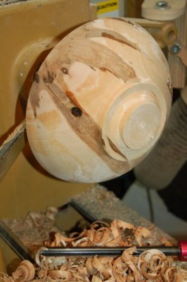 Maple with Tap Holes