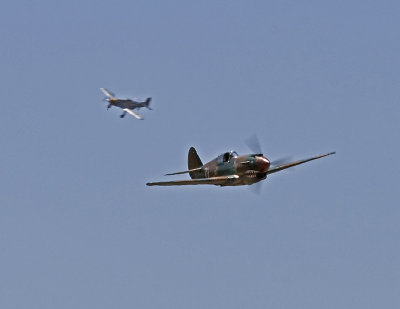 P-40C & P-51D