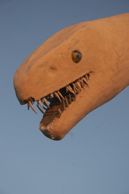 Prairie Dino