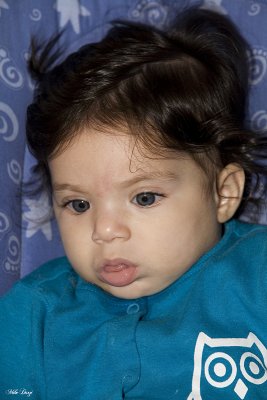 IMG_1552.jpg