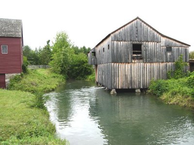 pic 373.jpg