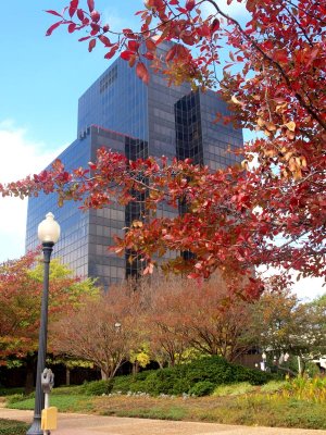 City Treeby Martin Davis