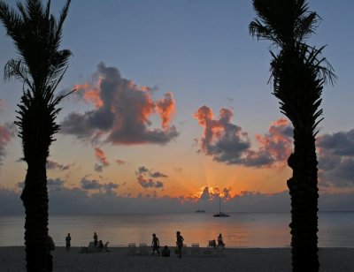 Sunset and palms by John C