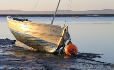 2nd -  Low Tide  by Adam Barassi (Vanderhaar)