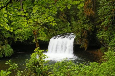 Upper Butte Creek Falls, Oregon